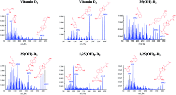 Graphical abstract: High throughput UHPLC-MS/MS method for the simultaneous quantification of six vitamin D metabolites: application for vitamin D determination in patients after liver or kidney transplantation