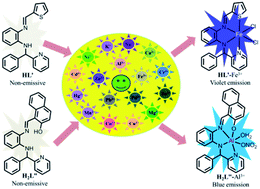 Graphical abstract: X-ray structure of two Schiff bases: TURN-ON sensing of Fe3+ and Al3+ in the HepG2 cell line