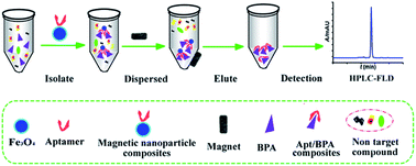 Graphical abstract: Aptamer-enhanced fluorescence determination of bisphenol A after magnetic solid-phase extraction using Fe3O4@SiO2@aptamer