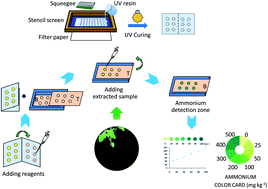 Graphical abstract: A simple paper-based analytical device using UV resin screen-printing for the determination of ammonium in soil