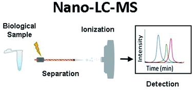 Graphical abstract: Nano-liquid chromatography-mass spectrometry and recent applications in omics investigations