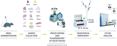 Graphical abstract: Fast and reliable ICP-MS quantification of palladium and platinum-based drugs in animal pharmacokinetic and biodistribution studies