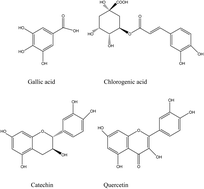 Graphical abstract: Stepwise elution by high-speed counter-current chromatography combined with a modified macroporous resin to isolate and purify antioxidant phenolics from discarded jackfruit (Artocarpusheterophyllus Lam.) peels