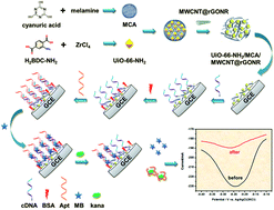 Graphical abstract: A novel electrochemical aptasensor for the sensitive detection of kanamycin based on UiO-66-NH2/MCA/MWCNT@rGONR nanocomposites