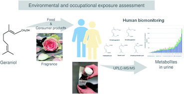 Graphical abstract: Quantitative determination of urinary metabolites of geraniol by ultra-performance liquid chromatography-tandem mass spectrometry (UPLC-MS/MS)