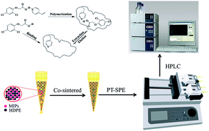 Graphical abstract: A molecularly imprinted polymer based monolith pipette tip for solid-phase extraction of 2,4-dichlorophenoxyacetic acid in an aqueous sample