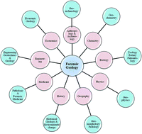 Graphical abstract: Soil as a tool of revelation in forensic science: a review