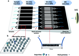 Graphical abstract: On-line multi-residue analysis of fluoroquinolones and amantadine based on an integrated microfluidic chip coupled to triple quadrupole mass spectrometry