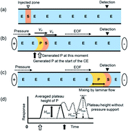Graphical abstract: Kinetic analysis of an enzymatic hydrolysis of p-nitrophenyl acetate with carboxylesterase by pressure-assisted capillary electrophoresis/dynamic frontal analysis