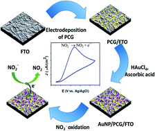 Graphical abstract: A highly sensitive poly(chrysoidine G)–gold nanoparticle composite based nitrite sensor for food safety applications