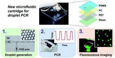 Graphical abstract: Convenient microfluidic cartridge for single-molecule droplet PCR using common laboratory equipment