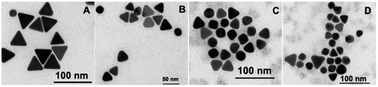 Graphical abstract: Visual detection of different metal ions based on the tug of war between triangular Au nanoparticles and metal ions against mercaptans