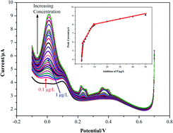 Graphical abstract: Ultrasensitive electrochemical determination of phosphate in water by using hydrophilic TiO2 modified glassy carbon electrodes