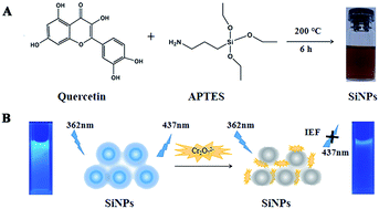 Graphical abstract: One-pot synthesis of novel water-dispersible fluorescent silicon nanoparticles for selective Cr2O72− sensing