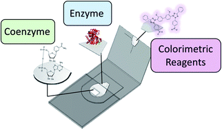 Graphical abstract: Dry storage of multiple reagent types within a paper microfluidic device for phenylalanine monitoring