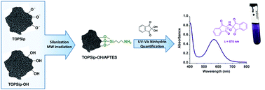 Graphical abstract: Optimized microwave-assisted functionalization and quantification of superficial amino groups on porous silicon nanostructured microparticles