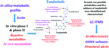 Graphical abstract: Identification and characterization of in vitro, in vivo, and reactive metabolites of tandutinib using liquid chromatography ion trap mass spectrometry