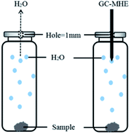 Graphical abstract: Determination of water content in municipal sludge by multiple headspace extraction gas chromatography