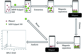Graphical abstract: Surfactant-functionalised magnetic ferum oxide coupled with high performance liquid chromatography for the extraction of phenol