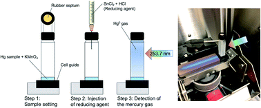 Graphical abstract: Simple mercury determination using an enclosed quartz cell with cold vapour-atomic absorption spectrometry