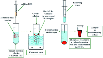 Graphical abstract: Determination of prohibited lead and cadmium traces in hair dyes and henna samples using ultrasound assisted-deep eutectic solvent-based liquid phase microextraction followed by microsampling-flame atomic absorption spectrometry