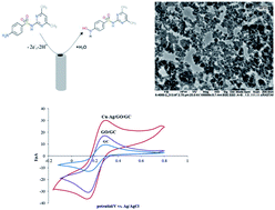 Graphical abstract: Development of an electrochemical sensor for the determination of antibiotic sulfamethazine in cow milk using graphene oxide decorated with Cu–Ag core–shell nanoparticles
