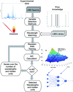 Graphical abstract: Combining prior knowledge with input selection algorithms for quantitative analysis using neural networks in laser induced breakdown spectroscopy
