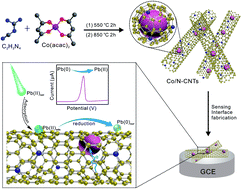 Graphical abstract: Cobalt encapsulated in bamboo-like N-doped carbon nanotubes for highly sensitive electroanalysis of Pb(ii): enhancement based on adsorption and catalysis