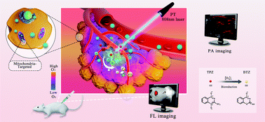 Graphical abstract: A photothermal-hypoxia sequentially activatable phase-change nanoagent for mitochondria-targeting tumor synergistic therapy