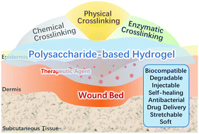 Graphical abstract: Rational design and latest advances of polysaccharide-based hydrogels for wound healing