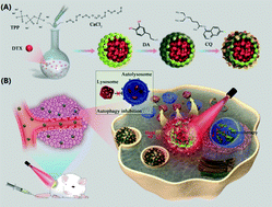 Graphical abstract: Hierarchical assembly of dual-responsive biomineralized polydopamine–calcium phosphate nanocomposites for enhancing chemo-photothermal therapy by autophagy inhibition