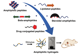 Graphical abstract: Advances in self-assembled injectable hydrogels for cancer therapy