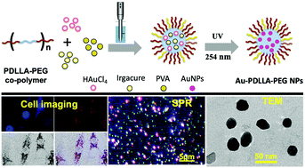 Graphical abstract: In situ preparation of gold–polyester nanoparticles for biomedical imaging