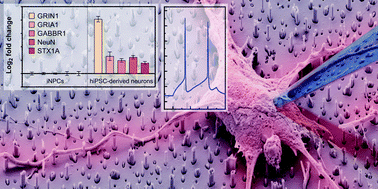 Graphical abstract: Interfacing human induced pluripotent stem cell-derived neurons with designed nanowire arrays as a future platform for medical applications