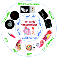 Graphical abstract: Applications of inorganic nanoparticles in the diagnosis and therapy of atherosclerosis