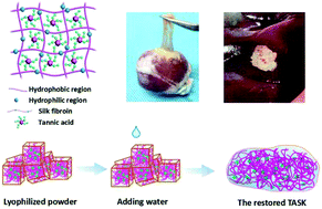 Graphical abstract: A medical adhesive used in a wet environment by blending tannic acid and silk fibroin