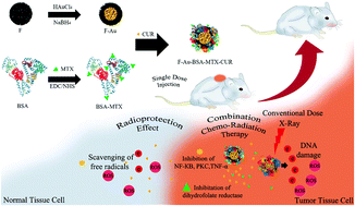 Graphical abstract: Improved synergic therapeutic effects of chemoradiation therapy with the aid of a co-drug-loaded nano-radiosensitizer under conventional-dose X-ray irradiation