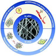 Graphical abstract: Electrospun nanofibers in cancer research: from engineering of in vitro 3D cancer models to therapy