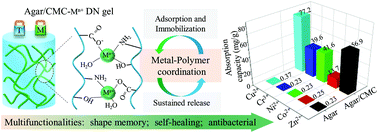 Graphical abstract: A multifunctional metal-biopolymer coordinated double network hydrogel combined with multi-stimulus responsiveness, self-healing, shape memory and antibacterial properties