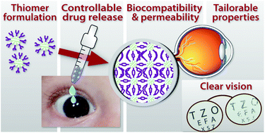 Graphical abstract: The gamut of perspectives, challenges, and recent trends for in situ hydrogels: a smart ophthalmic drug delivery vehicle