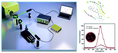 Graphical abstract: Exploring the LDS 821 dye as a potential NIR probe for the two photon imaging of amyloid fibrils