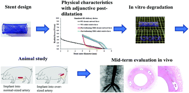 Graphical abstract: Oversized composite braided biodegradable stents with post-dilatation for pediatric applications: mid-term results of a porcine study