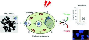 Graphical abstract: The mannose 6-phosphate receptor targeted with porphyrin-based periodic mesoporous organosilica nanoparticles for rhabdomyosarcoma theranostics