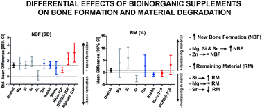 Graphical abstract: Bioinorganic supplementation of calcium phosphate-based bone substitutes to improve in vivo performance: a systematic review and meta-analysis of animal studies