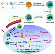 Graphical abstract: A smart theranostic agent based on Fe-HPPy@Au/DOX for CT imaging and PTT/chemotherapy/CDT combined anticancer therapy