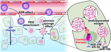 Graphical abstract: Tumor-triggered personalized microRNA cocktail therapy for hepatocellular carcinoma