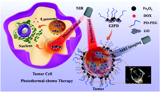 Graphical abstract: Eco-friendly development of an ultrasmall IONP-loaded nanoplatform for bimodal imaging-guided cancer theranostics