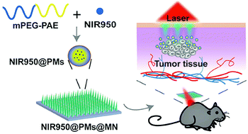 Graphical abstract: Dissolving microneedles integrated with pH-responsive micelles containing AIEgen with ultra-photostability for enhancing melanoma photothermal therapy