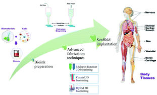 Graphical abstract: Recent progress in extrusion 3D bioprinting of hydrogel biomaterials for tissue regeneration: a comprehensive review with focus on advanced fabrication techniques