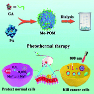 Graphical abstract: Combinatorial discovery of Mo-based polyoxometalate clusters for tumor photothermal therapy and normal cell protection